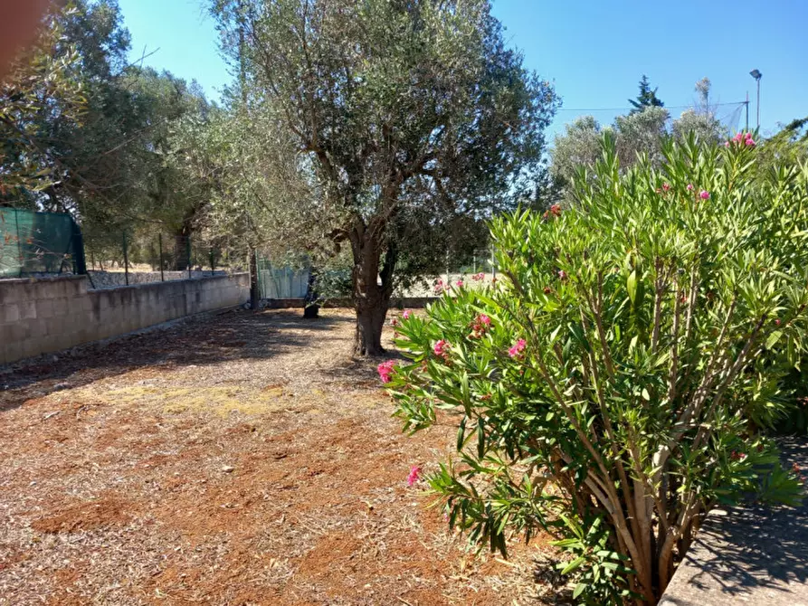 Immagine 41 di Villa in vendita  in C.da Foragno a Ostuni