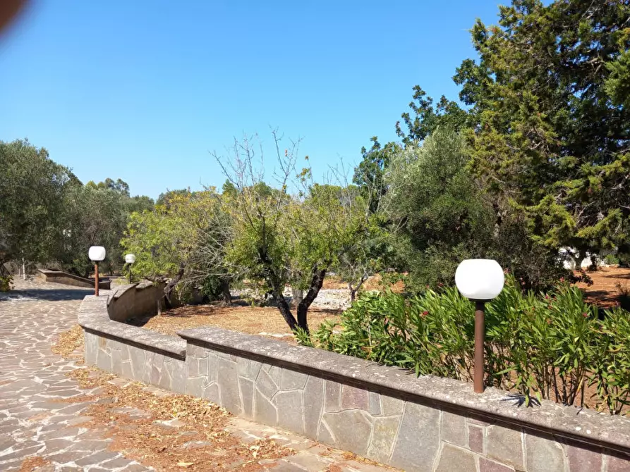 Immagine 44 di Villa in vendita  in C.da Foragno a Ostuni