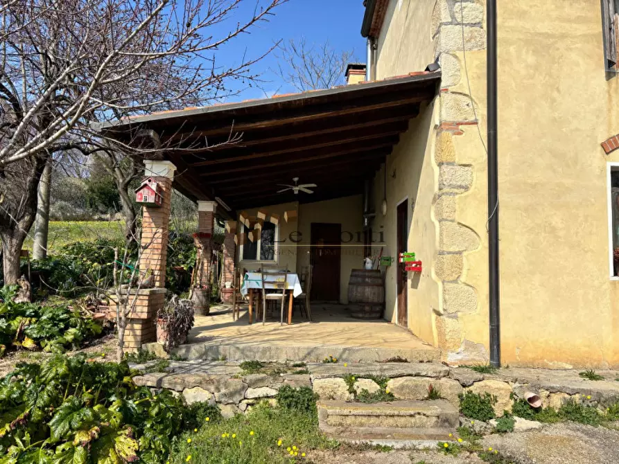 Immagine 5 di Rustico / casale in vendita  a Sossano