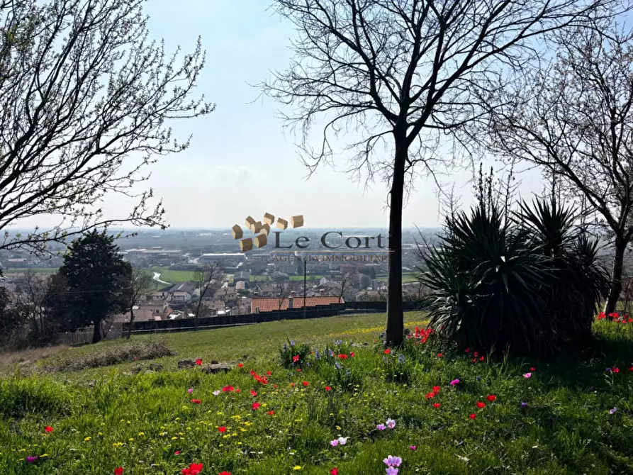 Immagine 9 di Rustico / casale in vendita  a Sossano