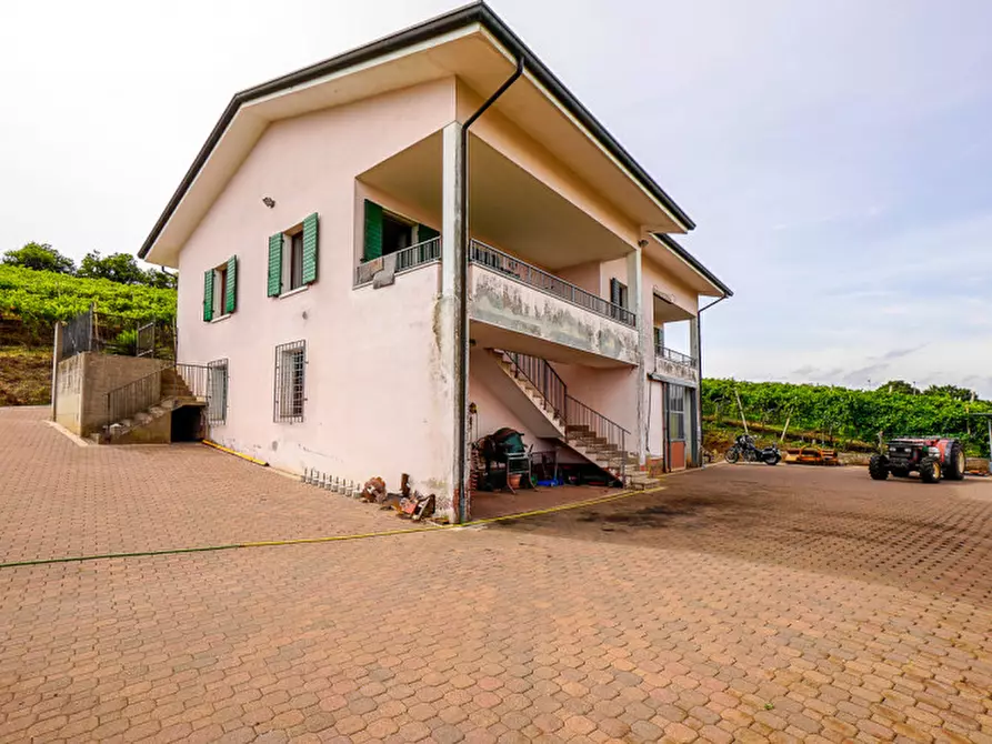 Immagine 4 di Casa indipendente in vendita  a Soave
