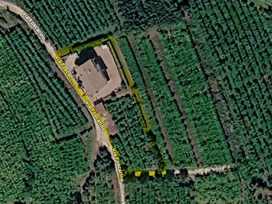 Immagine 21 di Casa indipendente in vendita  a Soave