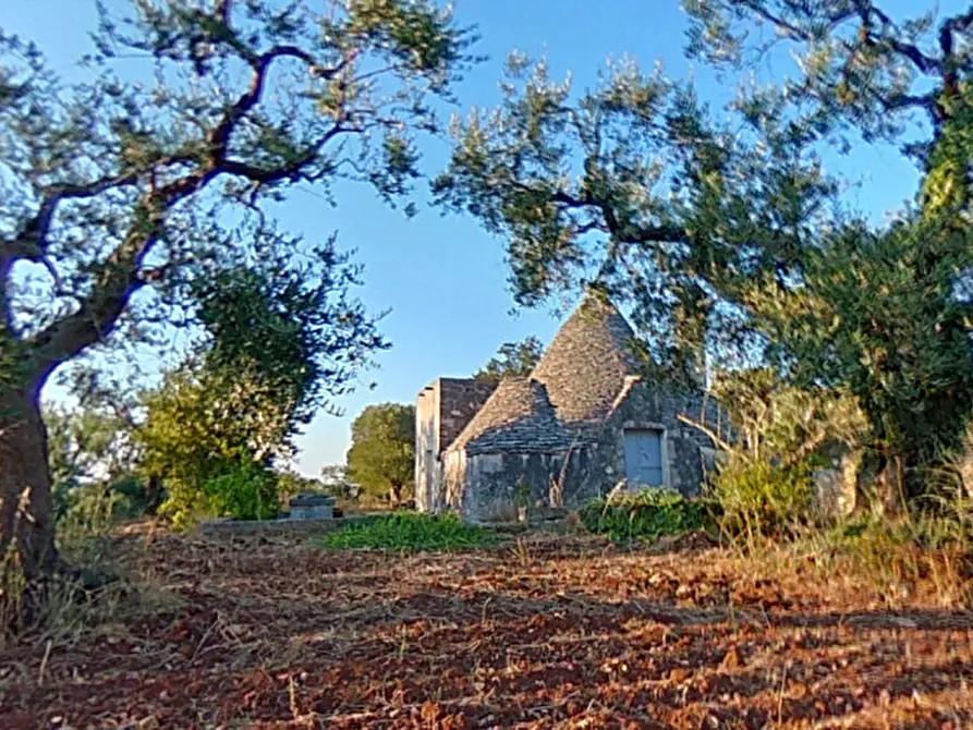 Immagine 1 di Rustico / casale in vendita  in Zippo a Alberobello