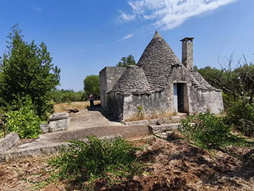 Immagine 2 di Rustico / casale in vendita  in Zippo a Alberobello