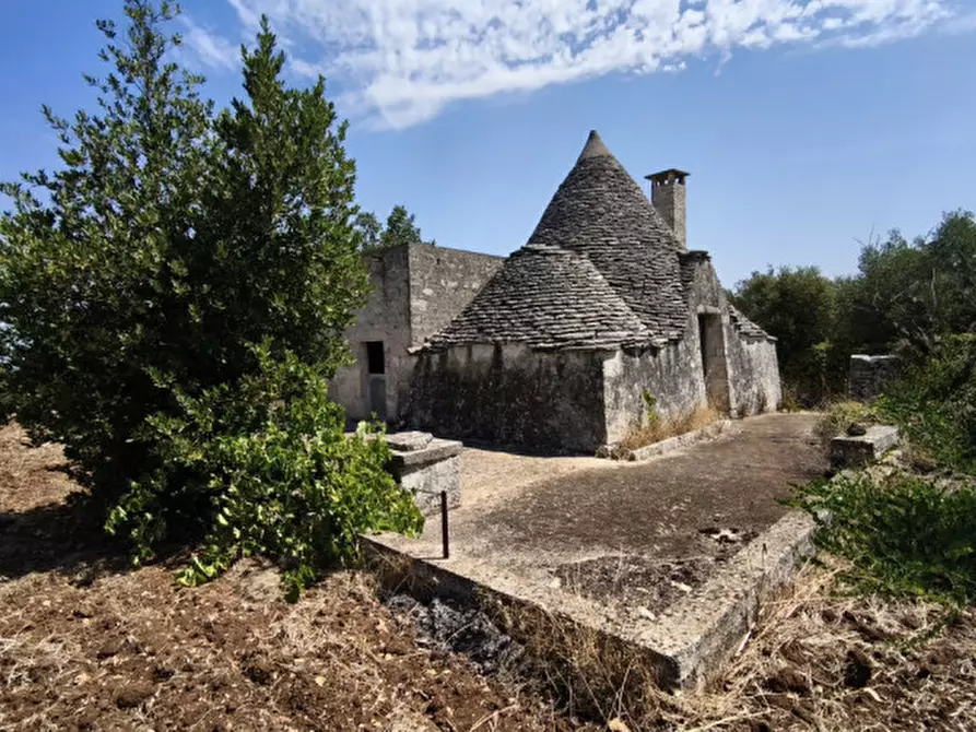 Immagine 3 di Rustico / casale in vendita  in Zippo a Alberobello