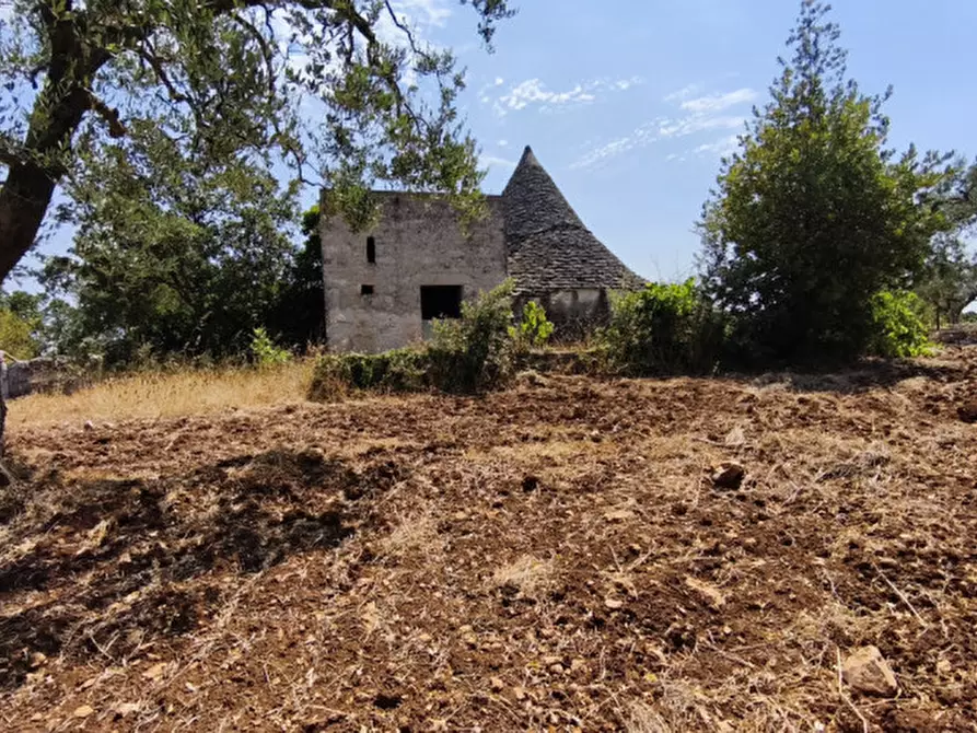 Immagine 8 di Rustico / casale in vendita  in Zippo a Alberobello