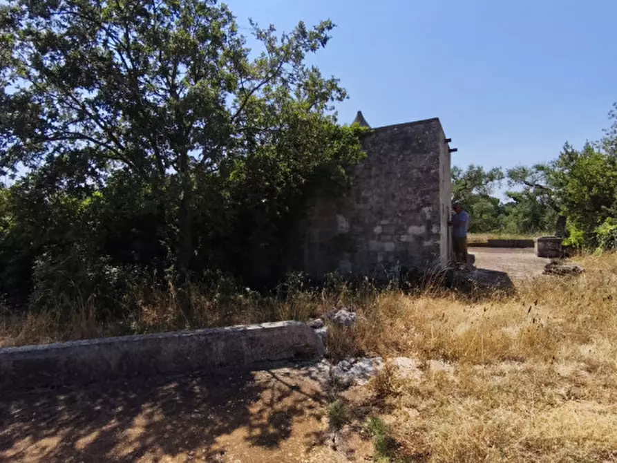 Immagine 11 di Rustico / casale in vendita  in Zippo a Alberobello