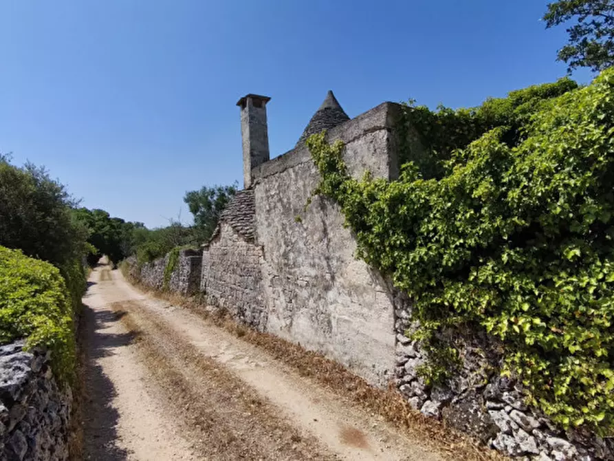 Immagine 12 di Rustico / casale in vendita  in Zippo a Alberobello