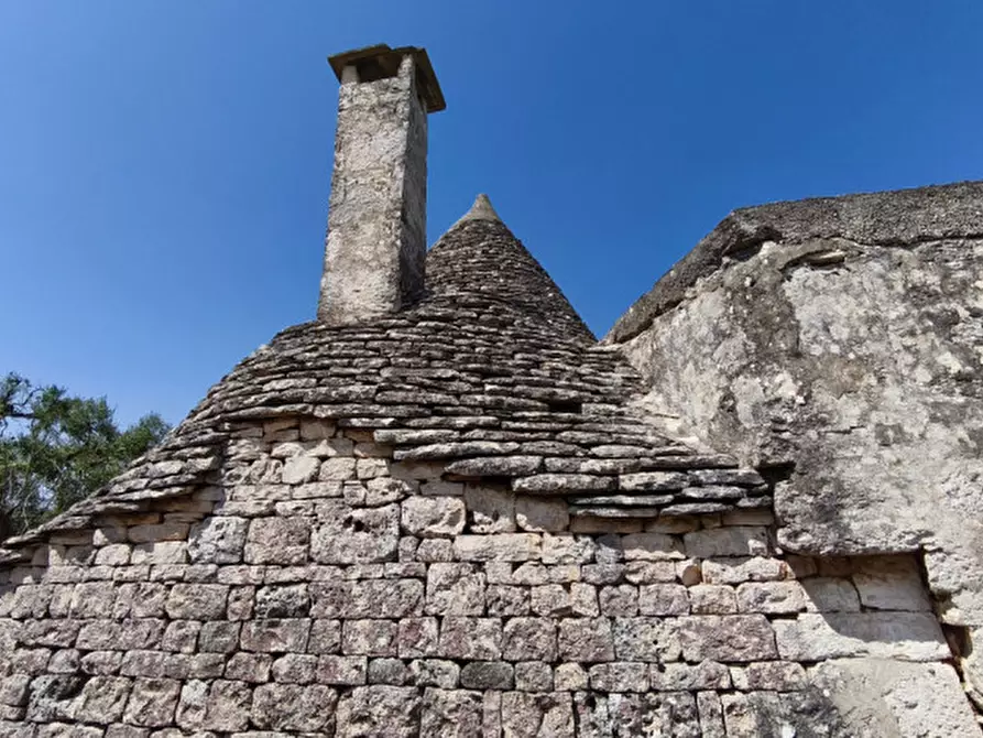 Immagine 14 di Rustico / casale in vendita  in Zippo a Alberobello