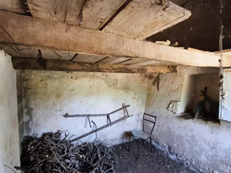 Immagine 27 di Rustico / casale in vendita  in Zippo a Alberobello