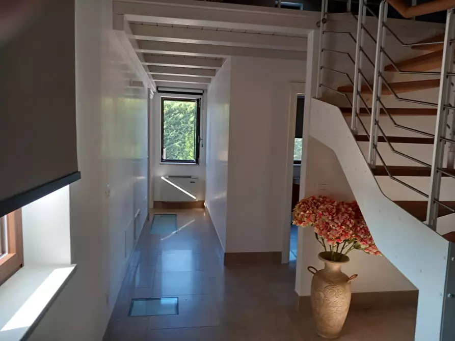Immagine 30 di Villa in vendita  in C.da Angeluzzi a San Michele Salentino