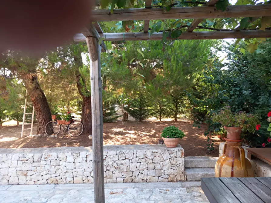 Immagine 54 di Villa in vendita  in C.da Angeluzzi a San Michele Salentino