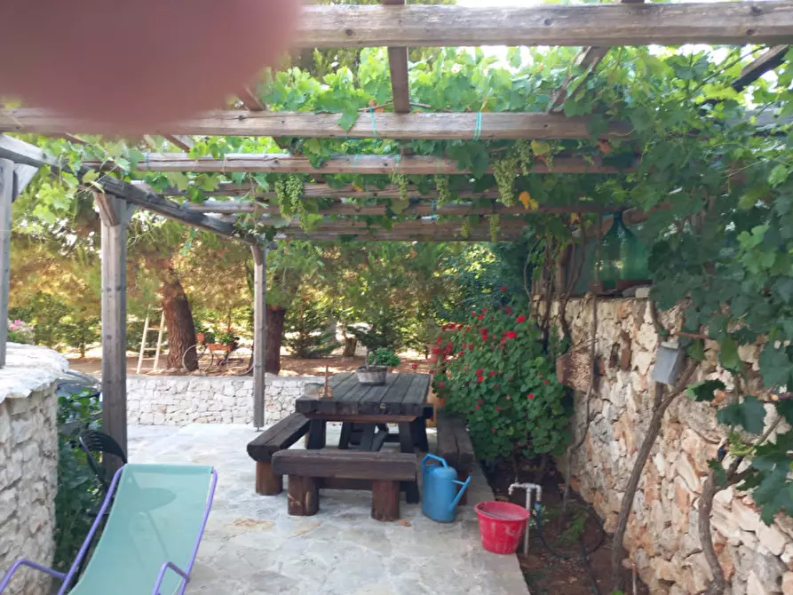 Immagine 55 di Villa in vendita  in C.da Angeluzzi a San Michele Salentino