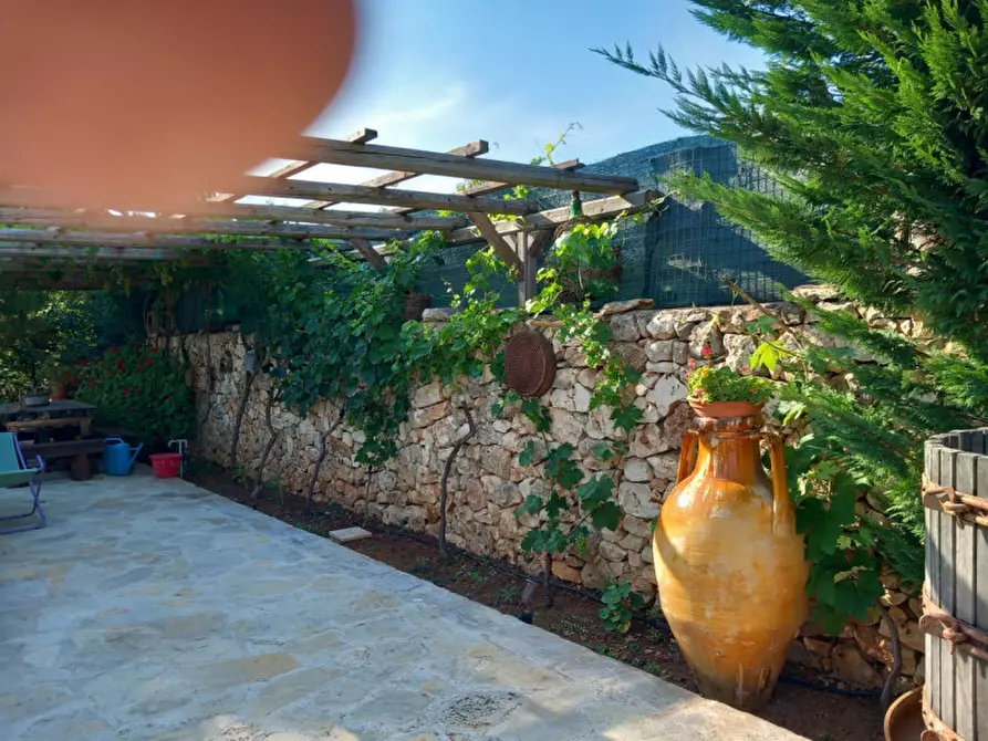 Immagine 56 di Villa in vendita  in C.da Angeluzzi a San Michele Salentino