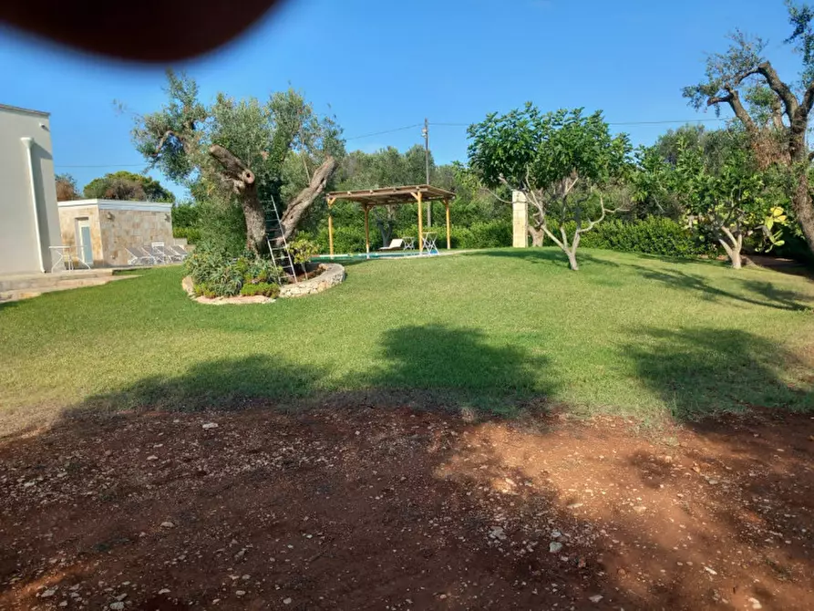 Immagine 76 di Villa in vendita  in C.da Angeluzzi a San Michele Salentino