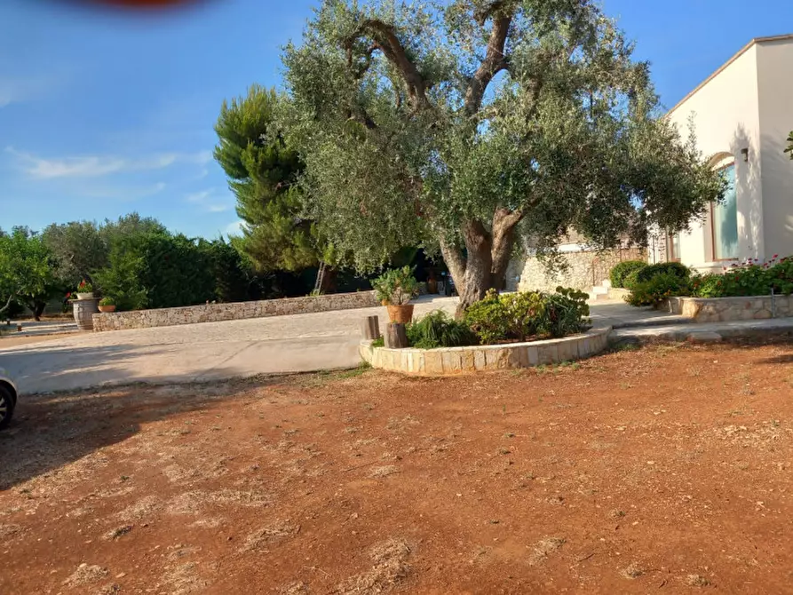 Immagine 77 di Villa in vendita  in C.da Angeluzzi a San Michele Salentino