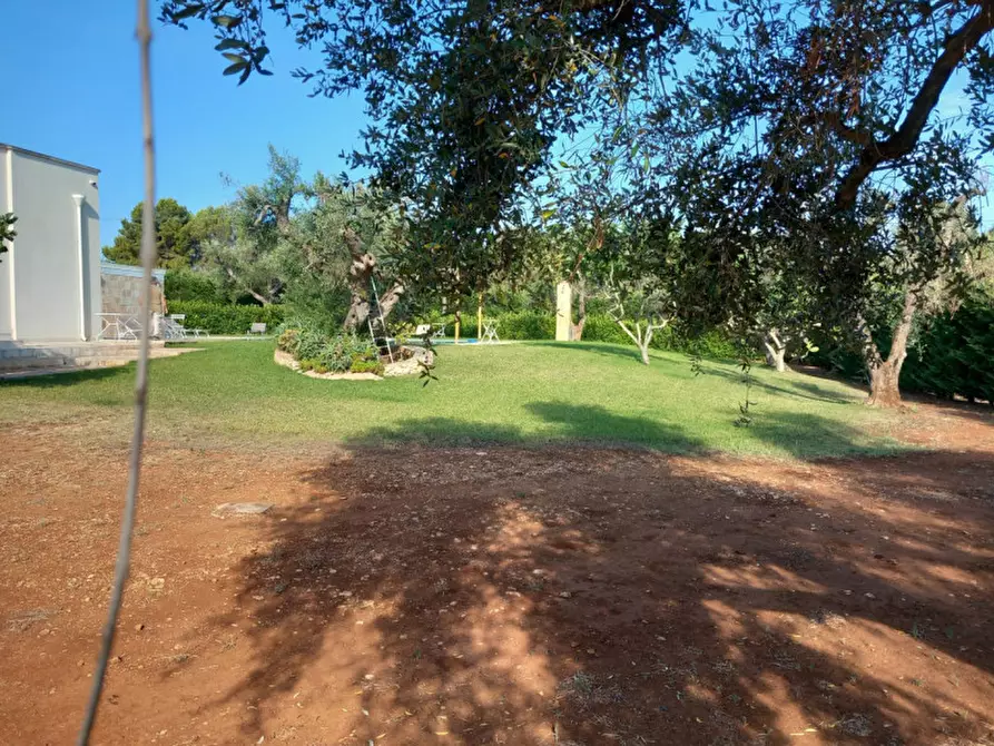 Immagine 79 di Villa in vendita  in C.da Angeluzzi a San Michele Salentino