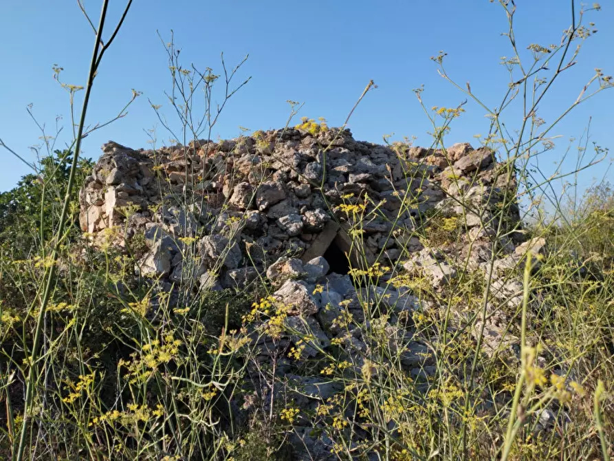 Immagine 1 di Terreno in vendita  in via contrada fabbrica a Alezio