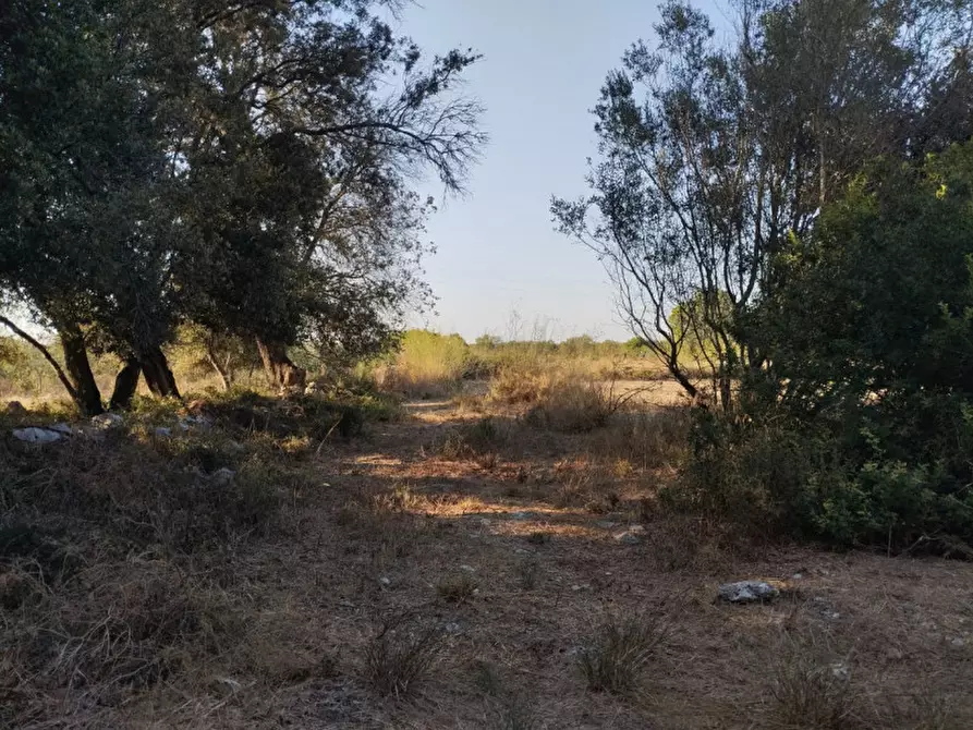 Immagine 2 di Terreno in vendita  in via contrada fabbrica a Alezio