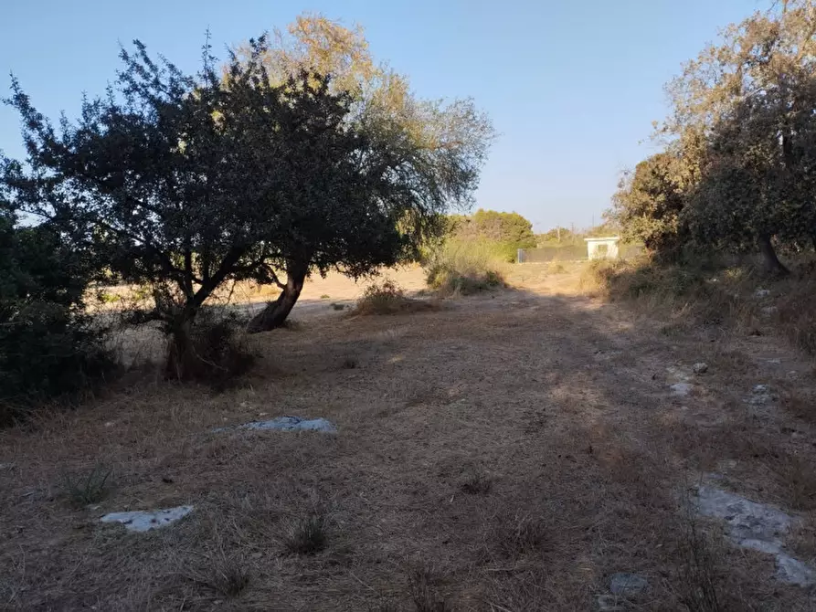 Immagine 3 di Terreno in vendita  in via contrada fabbrica a Alezio