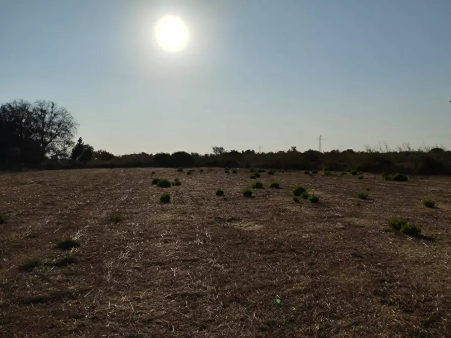 Immagine 5 di Terreno in vendita  in via contrada fabbrica a Alezio