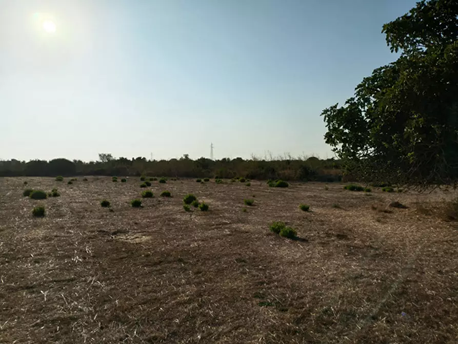 Immagine 6 di Terreno in vendita  in via contrada fabbrica a Alezio
