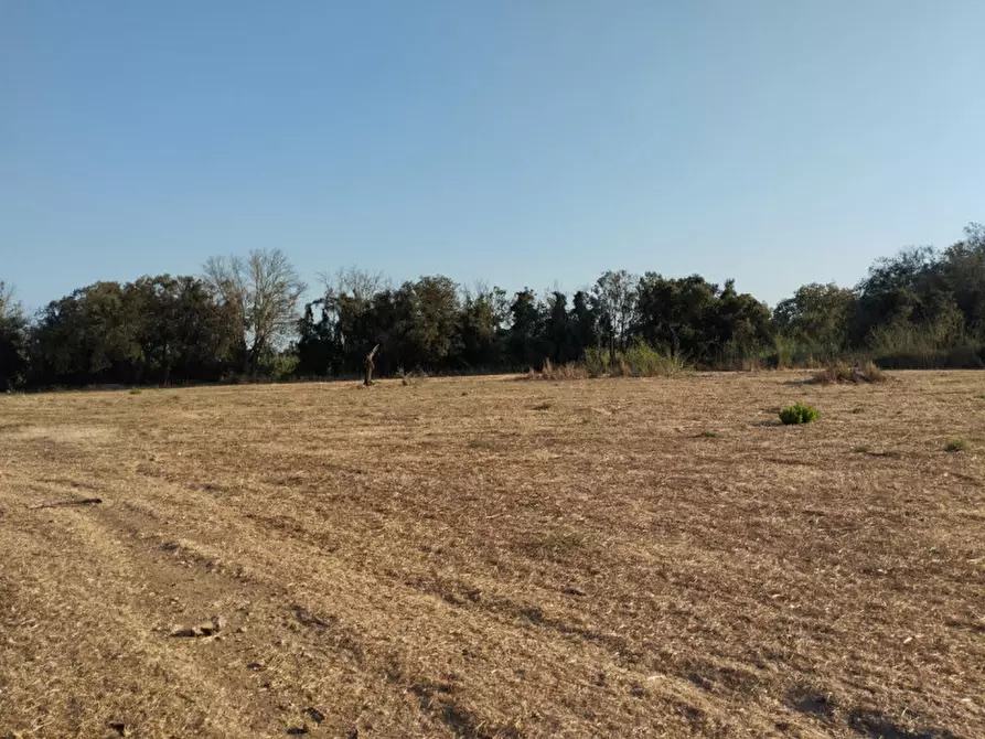 Immagine 8 di Terreno in vendita  in via contrada fabbrica a Alezio