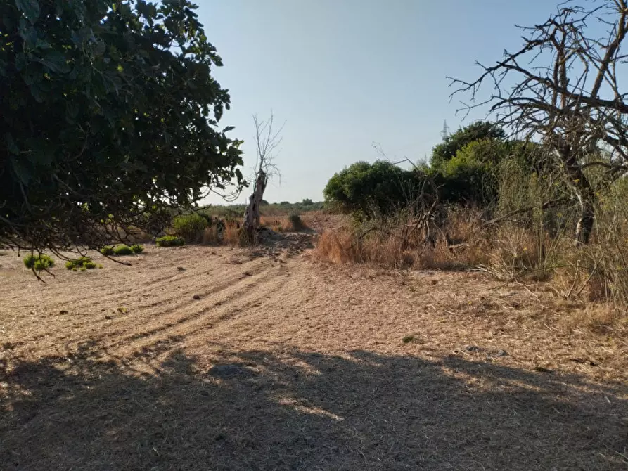 Immagine 9 di Terreno in vendita  in via contrada fabbrica a Alezio