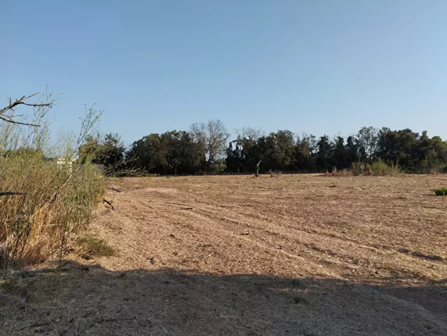 Immagine 10 di Terreno in vendita  in via contrada fabbrica a Alezio
