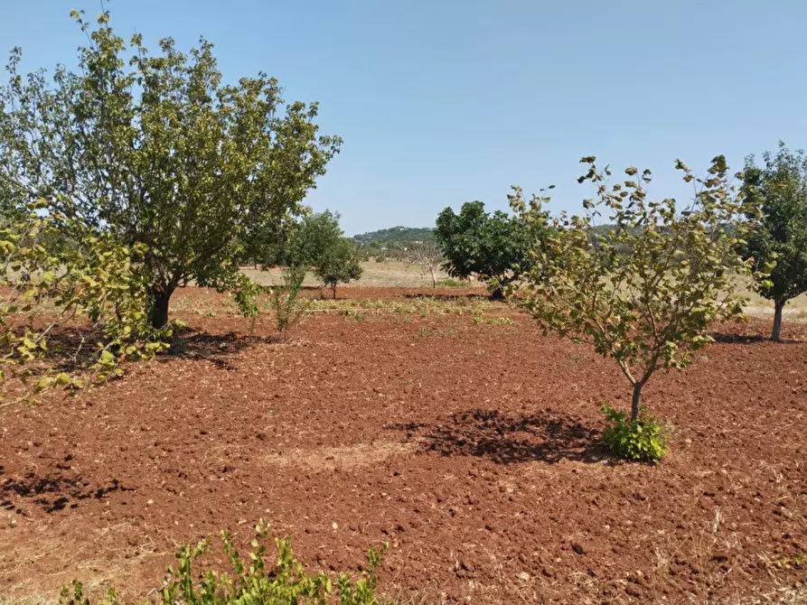 Immagine 5 di Terreno in vendita  in 73042 a Casarano