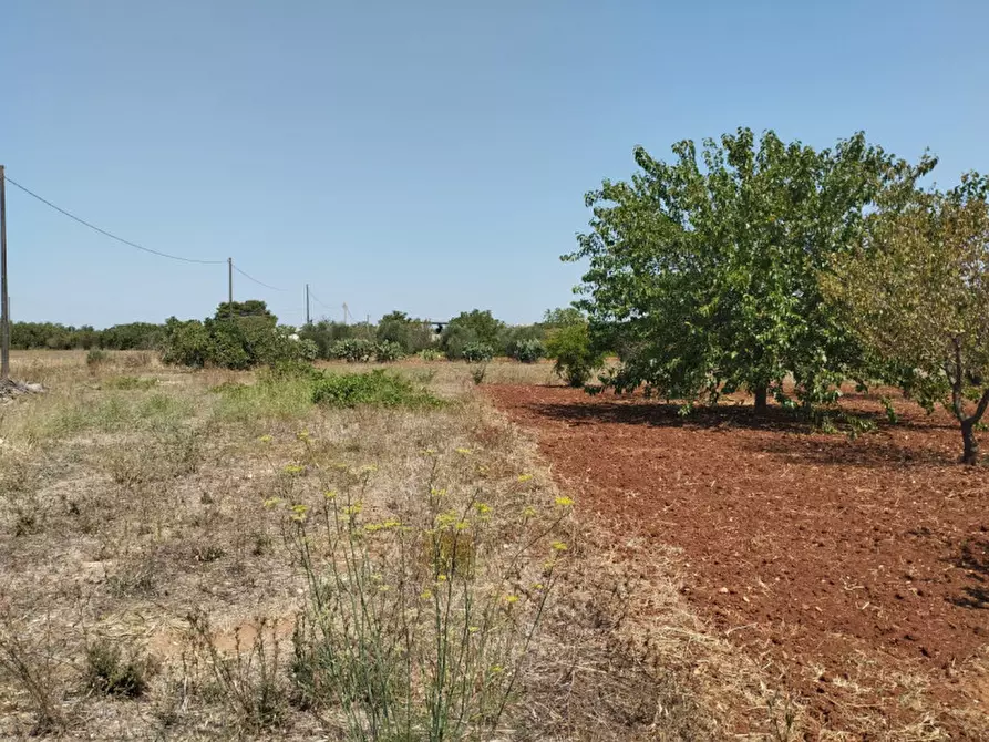 Immagine 6 di Terreno in vendita  in 73042 a Casarano