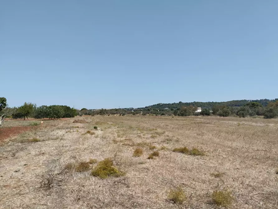 Immagine 10 di Terreno in vendita  in 73042 a Casarano