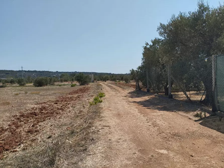 Immagine 11 di Terreno in vendita  in 73042 a Casarano
