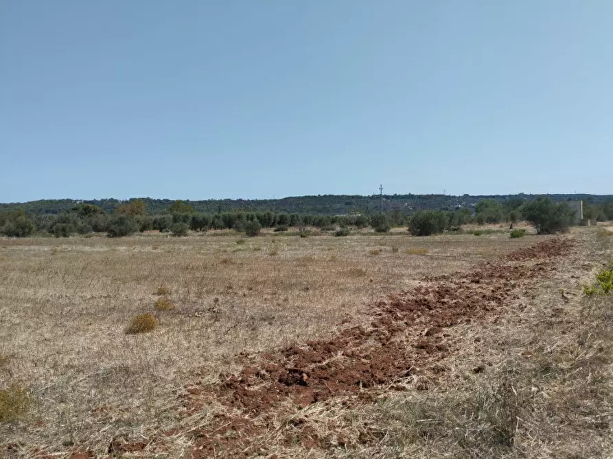 Immagine 12 di Terreno in vendita  in 73042 a Casarano