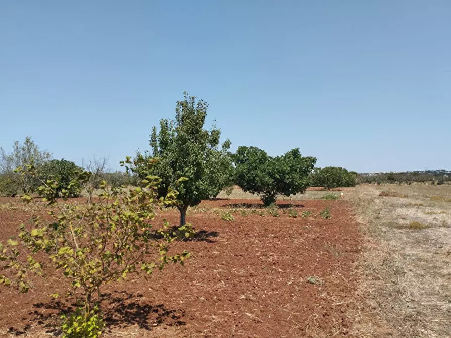 Immagine 13 di Terreno in vendita  in 73042 a Casarano