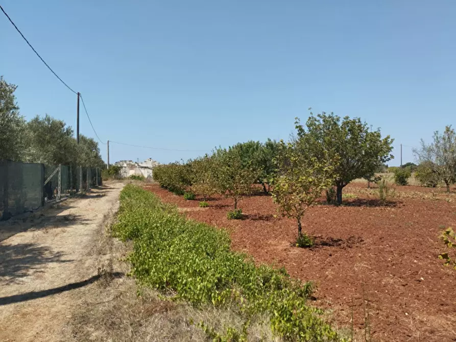 Immagine 14 di Terreno in vendita  in 73042 a Casarano