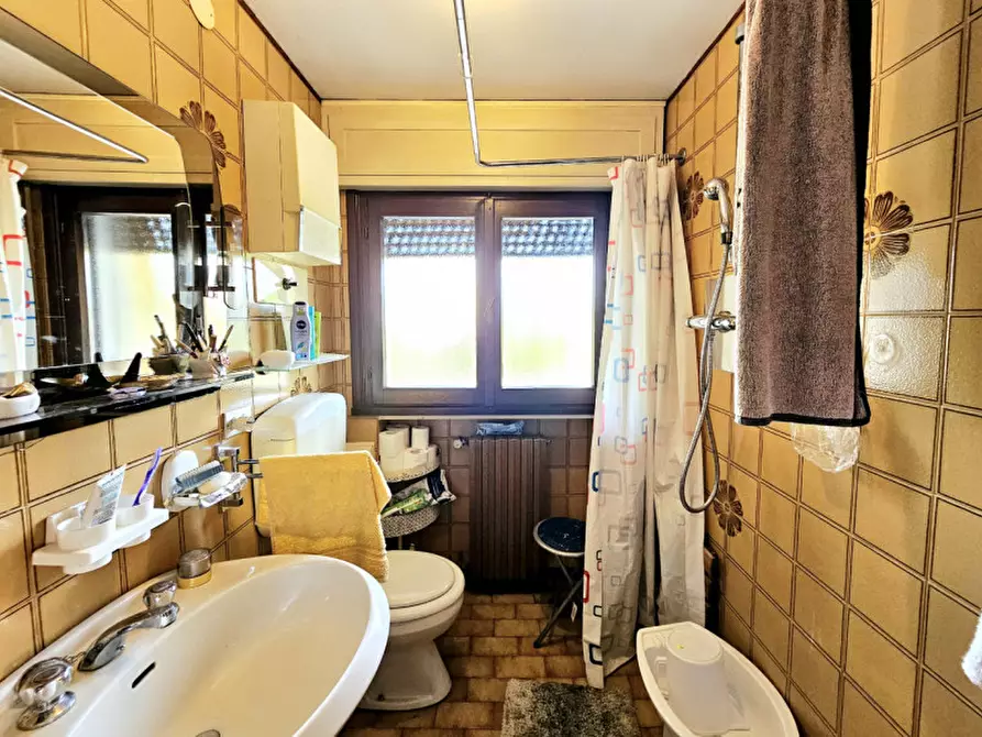 Immagine 18 di Casa indipendente in vendita  in Via Giuseppe Verdi a Solesino