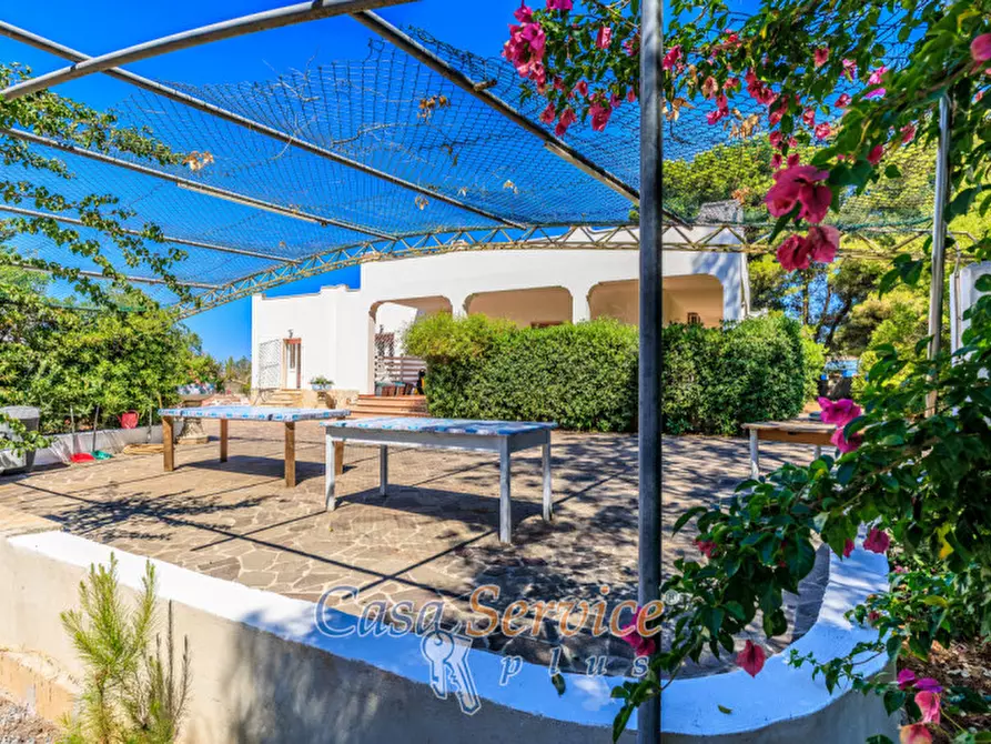 Immagine 35 di Villa in vendita  in Parco Naturale Regionale Litorale di Ugento, SP88, 73059 Ugento LE, Italia a Ugento