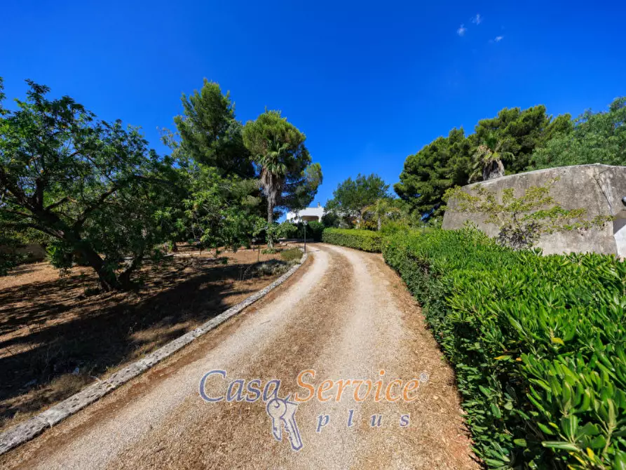 Immagine 42 di Villa in vendita  in Parco Naturale Regionale Litorale di Ugento, SP88, 73059 Ugento LE, Italia a Ugento
