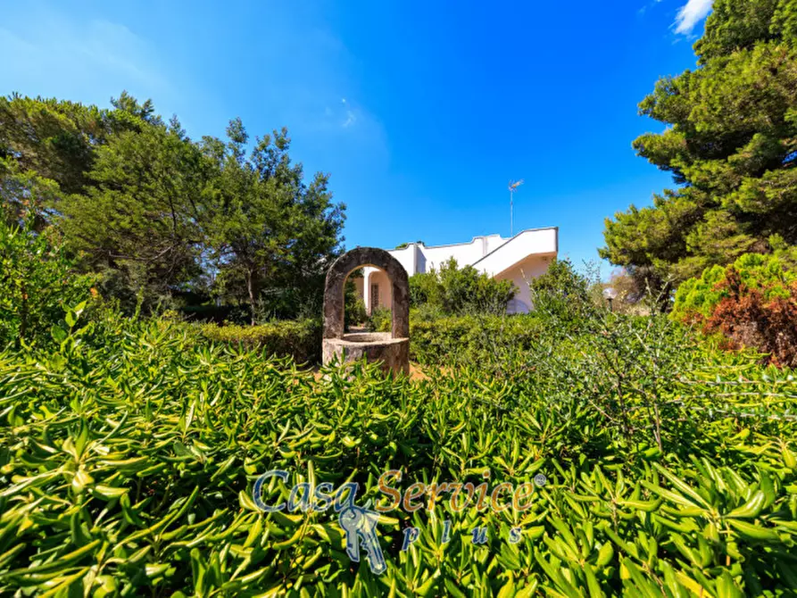 Immagine 43 di Villa in vendita  in Parco Naturale Regionale Litorale di Ugento, SP88, 73059 Ugento LE, Italia a Ugento