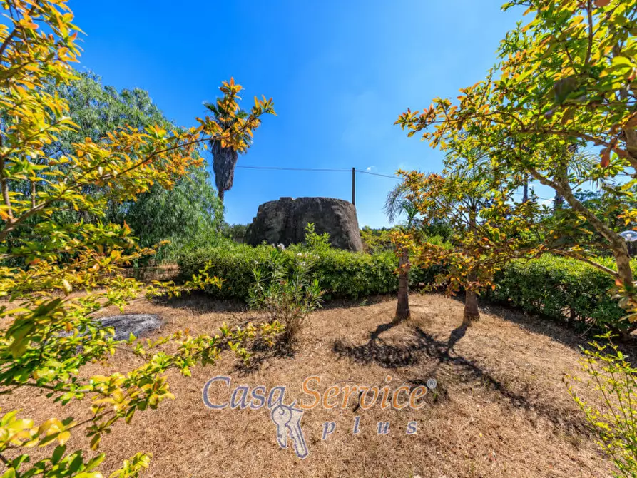 Immagine 45 di Villa in vendita  in Parco Naturale Regionale Litorale di Ugento, SP88, 73059 Ugento LE, Italia a Ugento