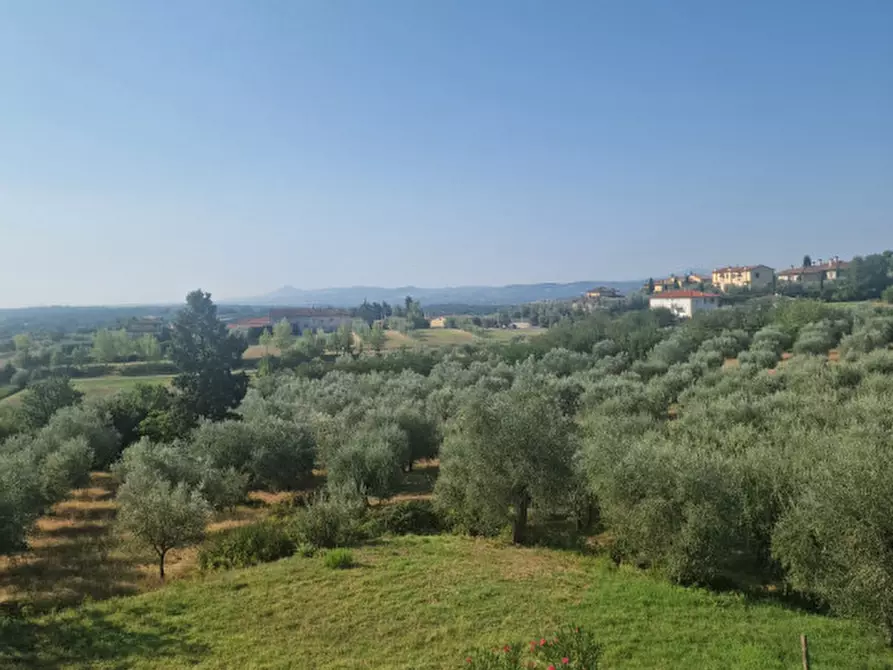 Immagine 10 di Appartamento in vendita  a Lucignano