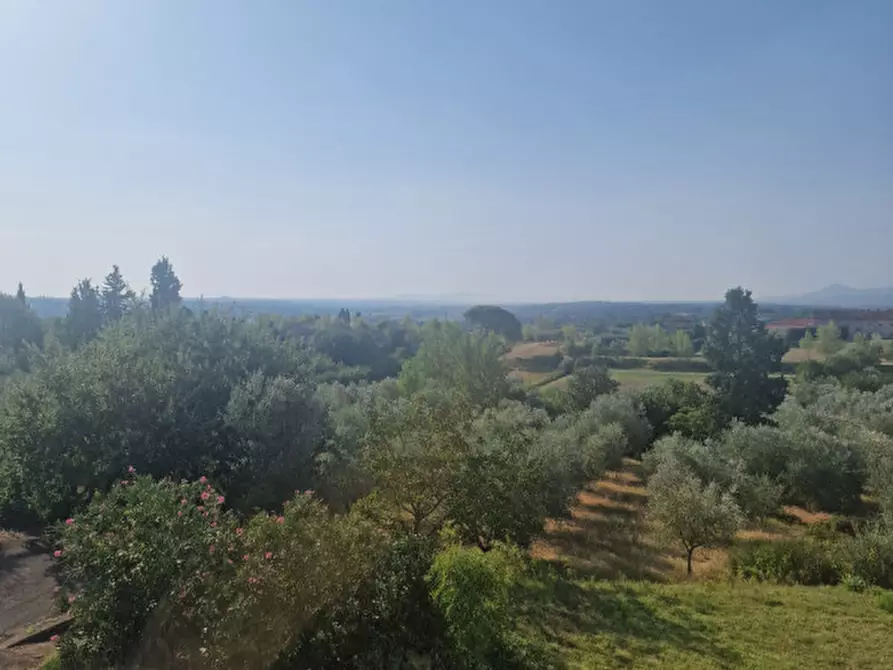 Immagine 11 di Appartamento in vendita  a Lucignano