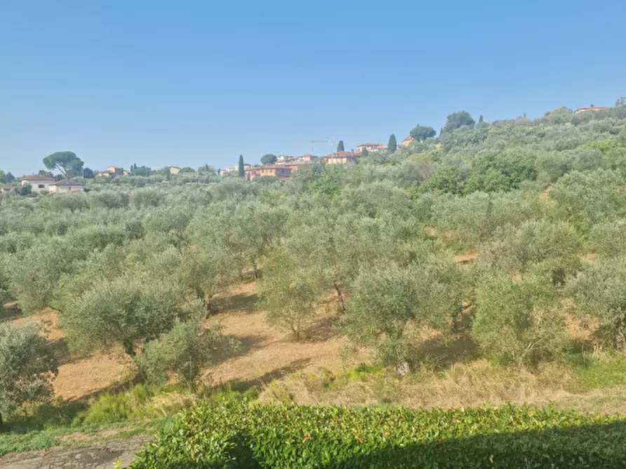 Immagine 22 di Appartamento in vendita  a Lucignano