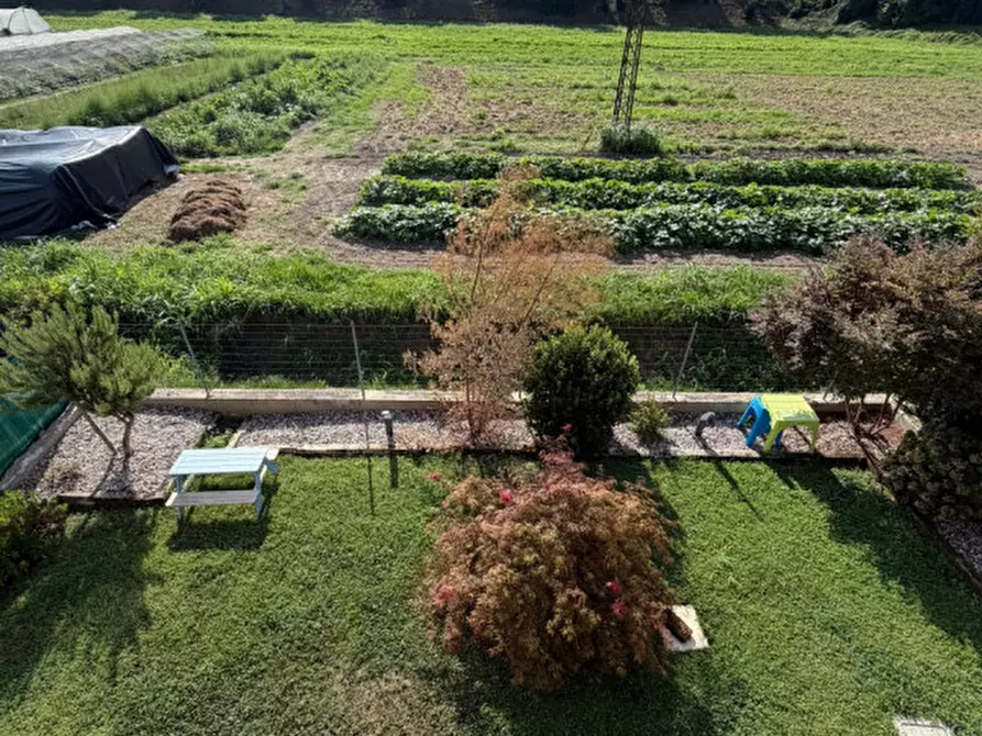 Immagine 21 di Villetta a schiera in vendita  a Masi