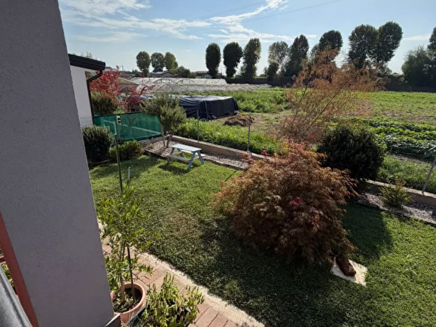 Immagine 22 di Villetta a schiera in vendita  a Masi