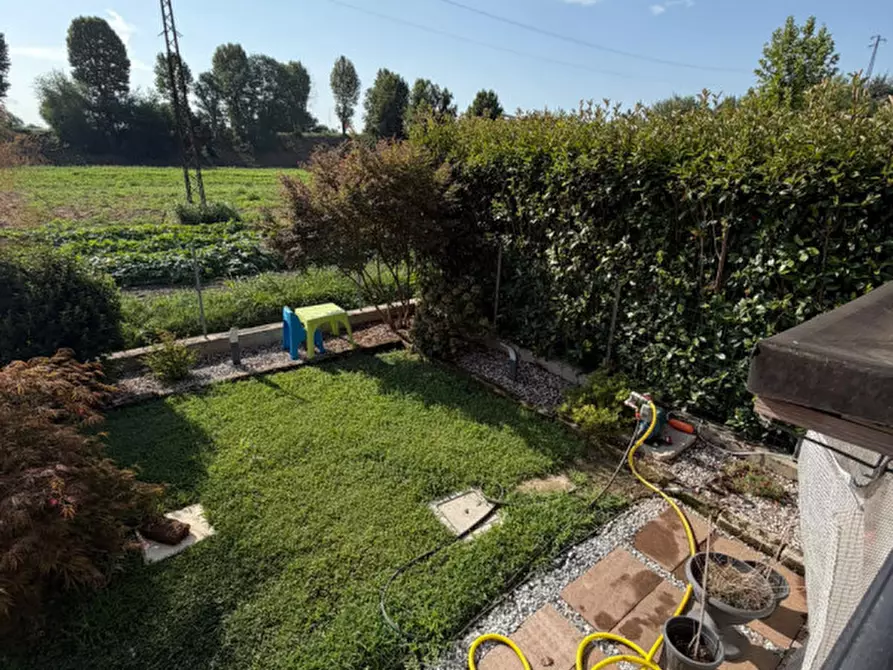 Immagine 23 di Villetta a schiera in vendita  a Masi