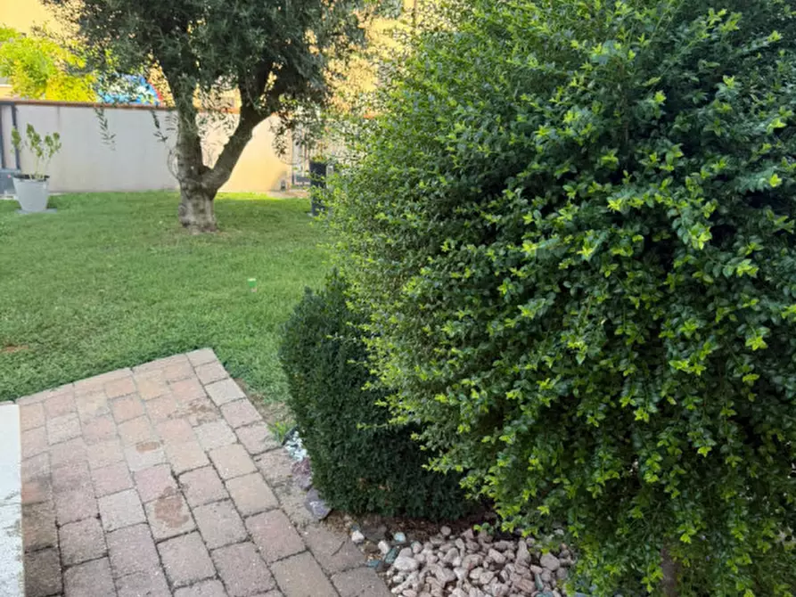 Immagine 25 di Villetta a schiera in vendita  a Masi