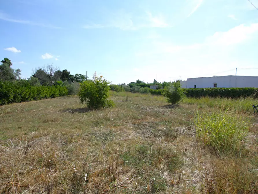 Immagine 19 di Villa in vendita  in Strada Vicinale Frasca a Matino