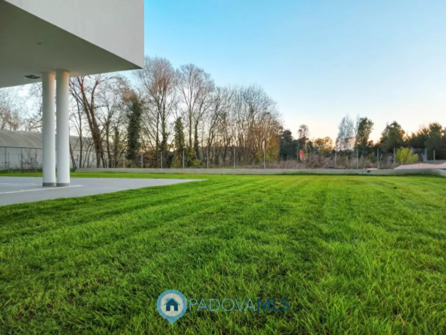 Immagine 16 di Villa in vendita  in Via Giotto a Borgoricco
